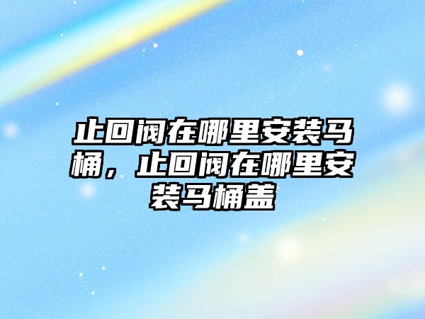 止回閥在哪里安裝馬桶，止回閥在哪里安裝馬桶蓋