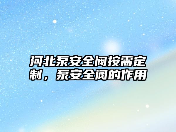 河北泵安全閥按需定制，泵安全閥的作用